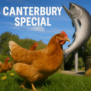 🐔** Canterbury Special ** - Wednesday 10th December 2025 Lincoln → Rolleston → Darfield → Rakaia → Ashburton → Temuka → Timaru