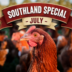 SOUTHLAND (and South Otago) Special!!  Brown Shaver 'Point of Lay' Pullets, Saturday 25th July 2026  Lorneville → Winton → Gore → Clinton → Balclutha → Milton