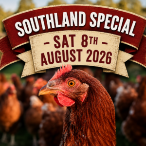 SOUTHLAND (and South Otago) Special!! Brown Shaver 'Point-of-Lay' Pullets, Saturday 8th August 2026 Lorneville β Winton β Gore β Clinton β Balclutha β Milton